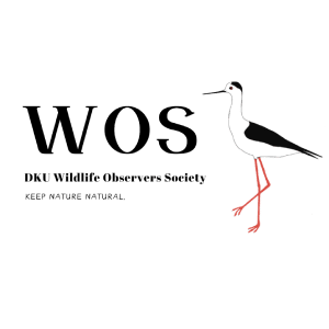 3. WOS Logo