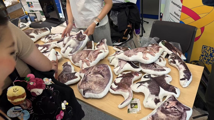 A group of people looking at a table with stuffed animals

Description automatically generated