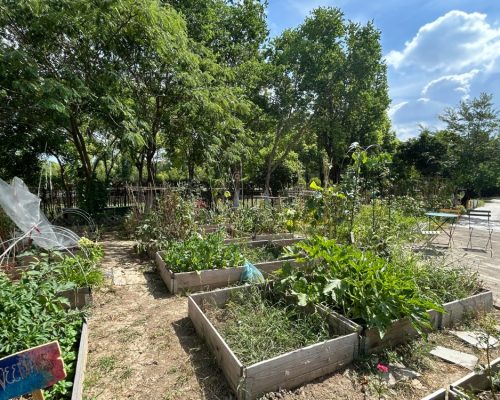 4. DKU Community Garden